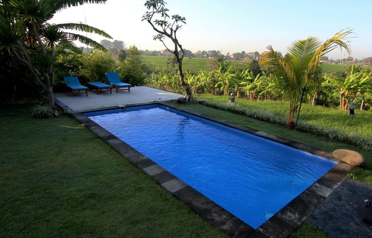 De Vir House Apartment ชังกู ภายนอก รูปภาพ