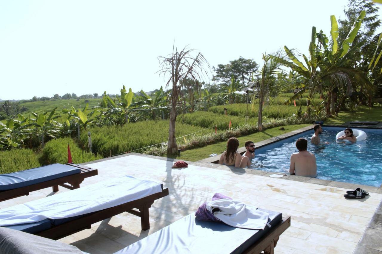 De Vir House Apartment ชังกู ภายนอก รูปภาพ